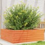 Fioriera Giardino Marrone Cera 70x70x23 cm Legno Massello Pino