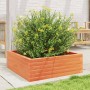 Fioriera Giardino Marrone Cera 70x70x23 cm Legno Massello Pino