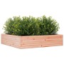 Fioriera da Giardino 100x100x23 cm Legno Massello di Douglas