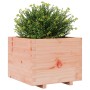 Fioriera da Giardino 60x60x49,5 cm in Legno Massello di Douglas