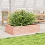 Fioriera da Giardino 90x60x23 cm in Legno Massello di Douglas