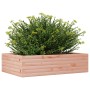 Fioriera da Giardino 90x60x23 cm in Legno Massello di Douglas