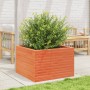 Fioriera Giardino Marrone Cera 70x70x45,5cm Legno Massello Pino