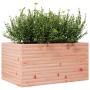 Fioriera da Giardino 90x60x45,5 cm in Legno Massello di Douglas