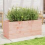 Fioriera da Giardino 110x40x45,5 cm Legno Massello di Douglas