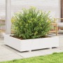 Fioriera da Giardino Bianca 100x100x26,5cm Legno Massello Pino