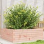 Fioriera da Giardino 70x70x23 cm in Legno Massello di Douglas