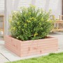 Fioriera da Giardino 70x70x23 cm in Legno Massello di Douglas