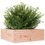 Fioriera da Giardino 70x70x23 cm in Legno Massello di Douglas