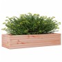 Fioriera da Giardino 110x40x23 cm in Legno Massello di Douglas