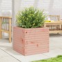 Fioriera da Giardino 50x50x45,5 cm in Legno Massello di Douglas