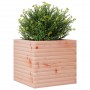 Fioriera da Giardino 50x50x45,5 cm in Legno Massello di Douglas