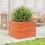 Fioriera Giardino Marrone Cera 60x60x45,5cm Legno Massello Pino