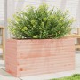 Fioriera da Giardino 90x40x45,5 cm in Legno Massello di Douglas