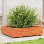 Fioriera Giardino 100x100x26,5cm Legno Massello Pino