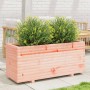 Fioriera da Giardino 110x40x49,5cm in Legno Massello di Douglas