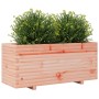 Fioriera da Giardino 110x40x49,5cm in Legno Massello di Douglas