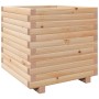 Fioriera da Giardino 50x50x49,5 cm in Legno Massello di Pino