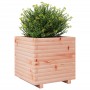 Fioriera da Giardino 50x50x49,5 cm in Legno Massello di Douglas