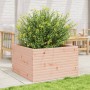 Fioriera da Giardino 80x80x46 cm in Legno Massello di Douglas