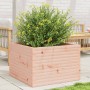 Fioriera da Giardino 70x70x46 cm in Legno Massello di Douglas