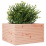 Fioriera da Giardino 80x80x46 cm in Legno Massello di Douglas