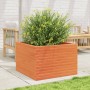 Fioriera Giardino Marrone Cera 70x70x46 cm Legno Massello Pino