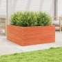 Fioriera Giardino 100x100x46 cm Legno Massello Pino