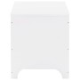 Contenitore con Coperchio RANA Bianco 100x49x54cm Massello Pino