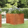 Letto Rialzato da Giardino Ruggine 100x100x77 cm Acciaio Corten