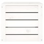 Contenitore Portaoggetti Bianco 59,5x36,5x33cm Massello di Pino