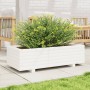 Fioriera da Giardino Bianca 90x40x26,5cm Legno Massello di Pino