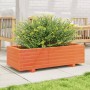 Fioriera Giardino Marrone Cera 90x40x26,5cm Legno Massello Pino