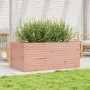 Fioriera da Giardino 110x60x46 cm in Legno Massello di Douglas