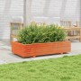 Fioriera Giardino Marrone Cera 110x60x26,5 cm Legno di Pino