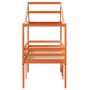 Letto a Soppalco con Tetto Cera 75x190cm Legno Massello di Pino