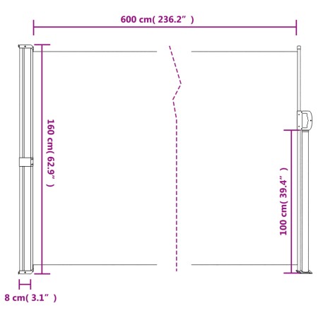 Tenda da Sole Laterale Retrattile Antracite 160x600 cm