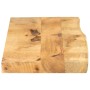 Piano Tavolo 120x40x2,5 cm Bordi Vivi Legno di Mango Grezzo