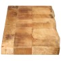 Piano Tavolo 160x40x2,5 cm Bordi Vivi Legno di Mango Grezzo