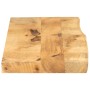 Piano Tavolo 120x20x2,5 cm Bordi Vivi Legno di Mango Grezzo