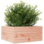 Fioriera da Giardino 50x50x23 cm in Legno Massello di Douglas