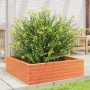 Fioriera Giardino Marrone Cera 80x80x23 cm Legno Massello Pino