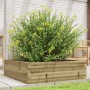 Fioriera da Giardino 80x80x23 cm in Legno di Pino Impregnato