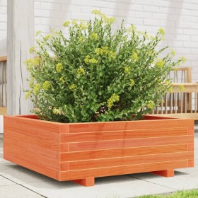 Fioriera Giardino Marrone Cera 70x70x26,5cm Legno Massello Pino