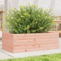 Fioriera da Giardino 70x40x23 cm in Legno Massello di Douglas