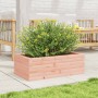 Fioriera da Giardino 70x40x23 cm in Legno Massello di Douglas