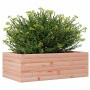 Fioriera da Giardino 70x40x23 cm in Legno Massello di Douglas