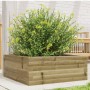 Fioriera da Giardino 60x60x23 cm in Legno di Pino Impregnato