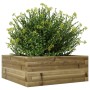 Fioriera da Giardino 60x60x23 cm in Legno di Pino Impregnato