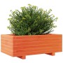 Fioriera Giardino Marrone Cera 70x40x26,5cm Legno Massello Pino